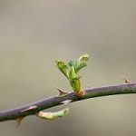 equallywell-article-1