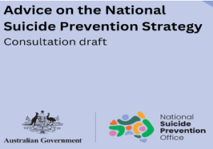 Equally Well calls for priority on physical health factors in National Suicide Strategy submission.