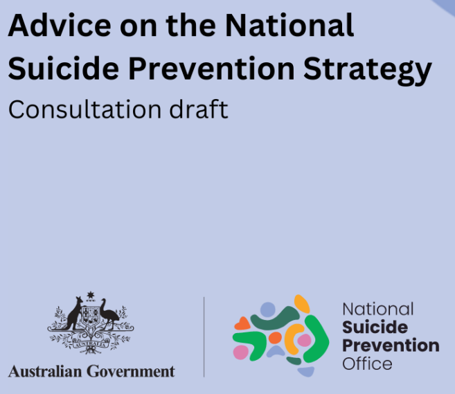 Advice on the national Suicide Prevention Strategy